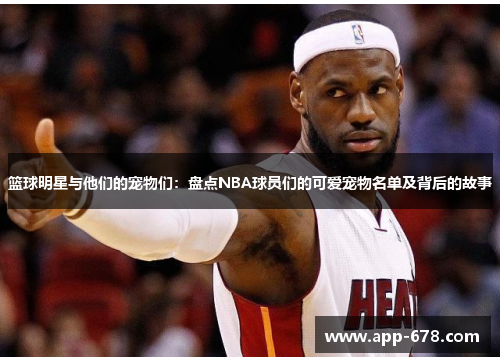 篮球明星与他们的宠物们：盘点NBA球员们的可爱宠物名单及背后的故事